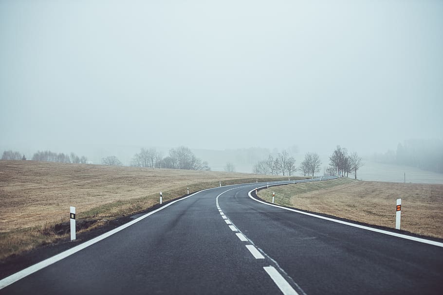 photo of concrete road and bare trees with covered with fogs under gray sky, black and white concrete road with fogs