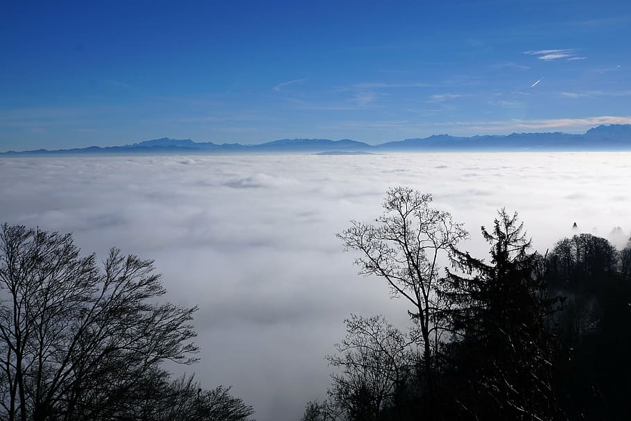 fog, sky, nature, trees, winter, autumn, mood, landscape, sun HD wallpaper