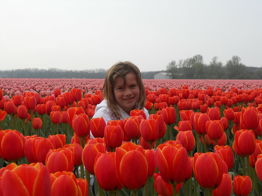 bulbs, orange, nature, field, outdoors, red, agriculture, smiling HD wallpaper