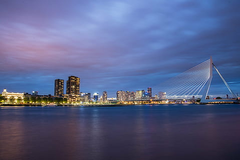 lighted high-rise buildings near calm water at night time, rotterdam HD wallpaper