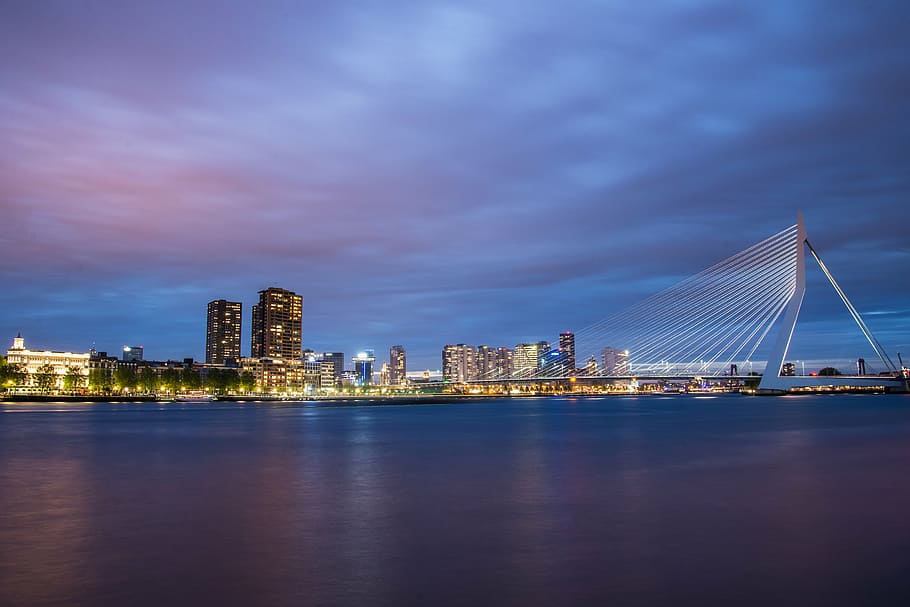 lighted high-rise buildings near calm water at night time, rotterdam, HD wallpaper