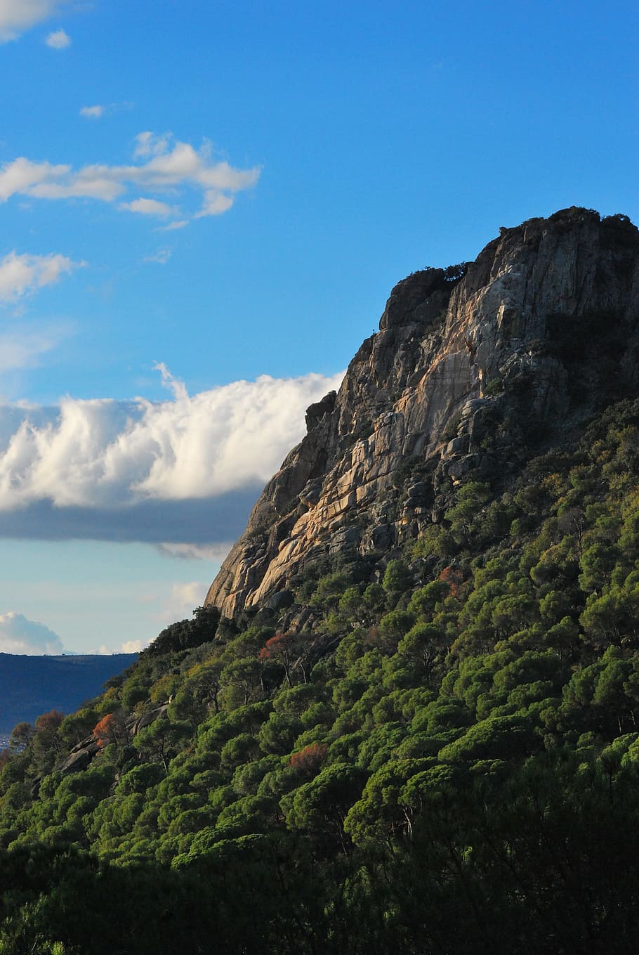 granite, mountain, pending, pine, landscape, nature, green HD wallpaper