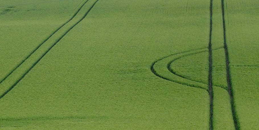 Furrows, Agriculture, green, green color, no people, nature HD wallpaper