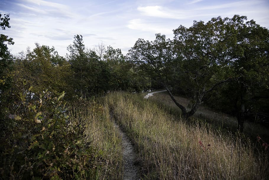Hiking Trail landscape at Ferry Bluff, Wisconsin, clouds, photos HD wallpaper