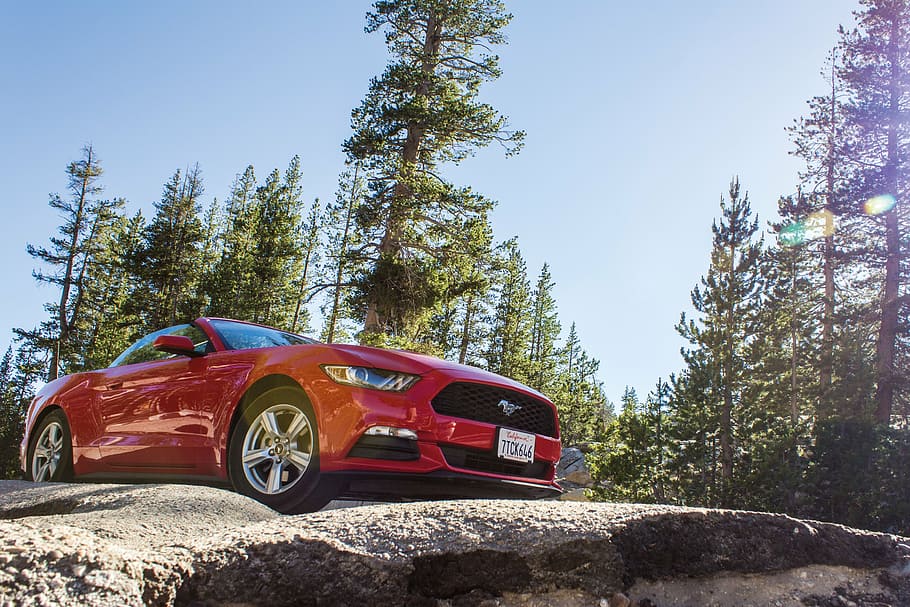 red Ford Mustang coupe on road, car, natural, stone, trees HD wallpaper