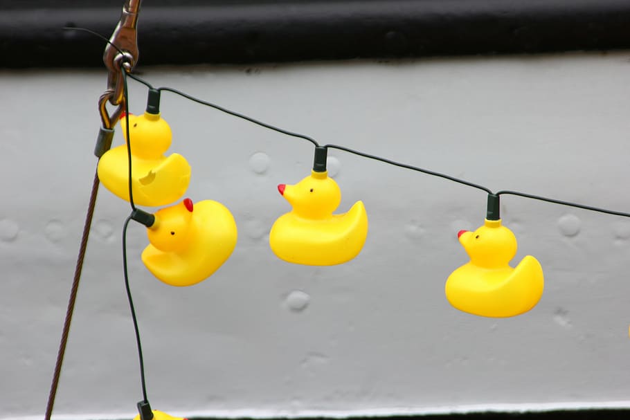 plastic, ducks, empty, seafaring, ship meeting, hanging, yellow HD wallpaper