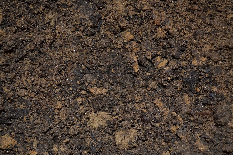 brown soil photography, dirt, potting, mix, ground, mud, planting, HD wallpaper