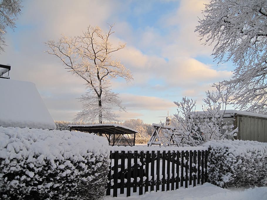 Snow, Trees, Landscape, Cold, Season, december, nature, winter HD wallpaper