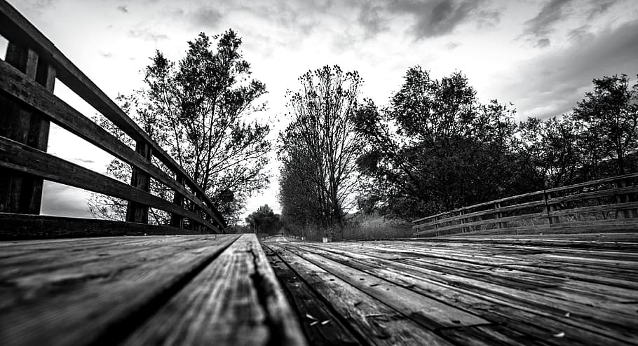 bridge, sky, bicycle, clouds, nature, trees, landscape, black and white HD wallpaper