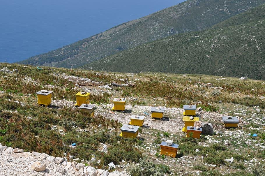 albania, beehives, apiculture, europe, outdoor, traditional