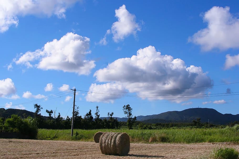 Grass, Soil Mechanics, Utility Pole, plow, cloud, white cloud HD wallpaper