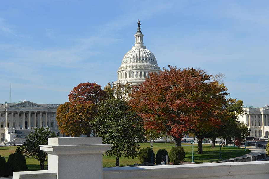 u, s, capitol, washington d, autumn, government, building, dome HD wallpaper
