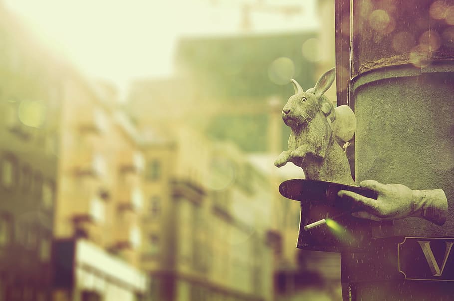 gray rabbit statue on black hat during daytime, vienna, magic HD wallpaper