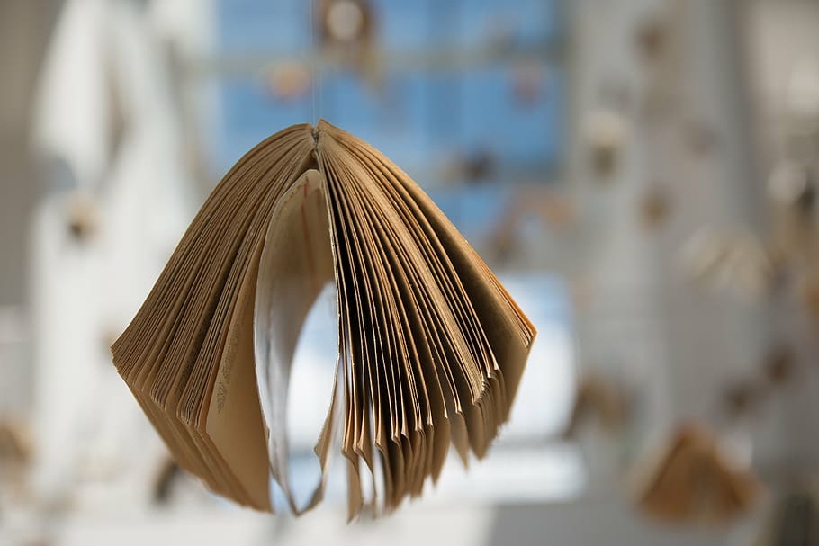 selective focus photography of book, exposition, composition HD wallpaper