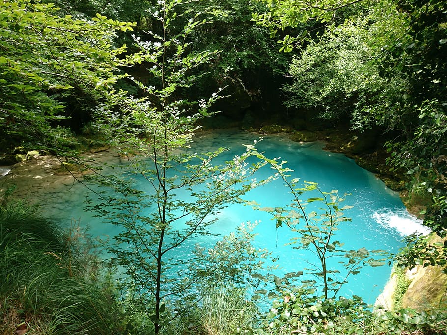 river, forest, blue, lake, tree, plant, water, beauty in nature HD wallpaper