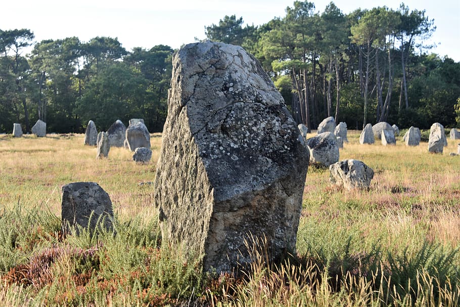alignments, carnac, france, brittany, mégalithe, stones, neolithic, HD wallpaper