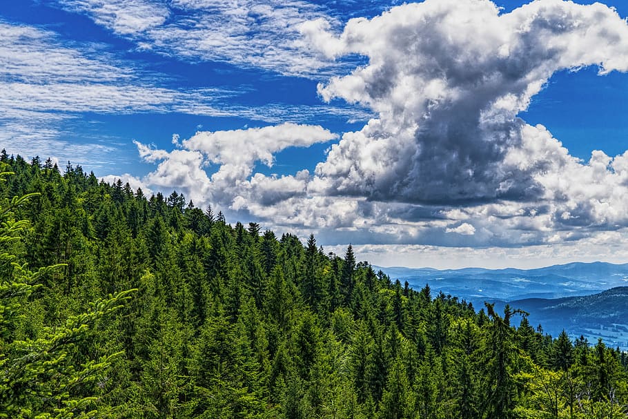 mountains and trees, Bavarian Forest, sky, landscape, hiking HD wallpaper