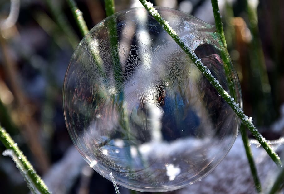 bubble, soap bubble, ball, background, winter, cold, lichtspiel HD wallpaper