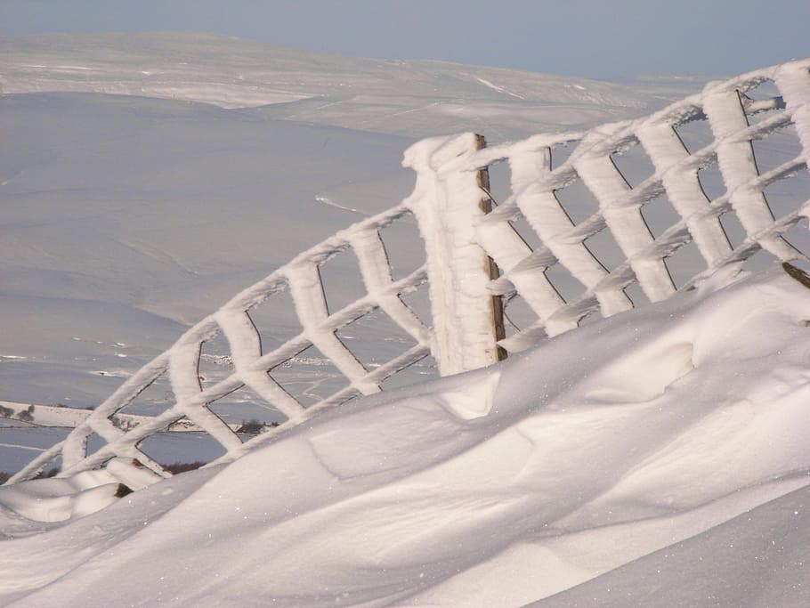 snow, fence, winter, cold, frost, outdoor, landscape, frozen HD wallpaper