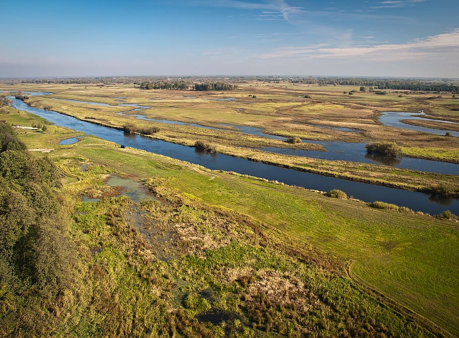 biebrza, narew, pool, marsh, estuary, river, nature, water HD wallpaper