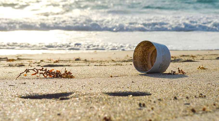 Empty, Environment, Beach, green, seashore, sand, nature, coastline HD wallpaper