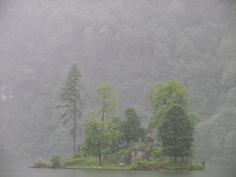 Island, Forest, Lonely, Landscape, rain, panorama, nature, tree HD wallpaper