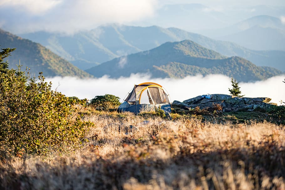 camping tent on top of mountain, white and grey tent near green leaf plants with distance to mountains at daytime HD wallpaper