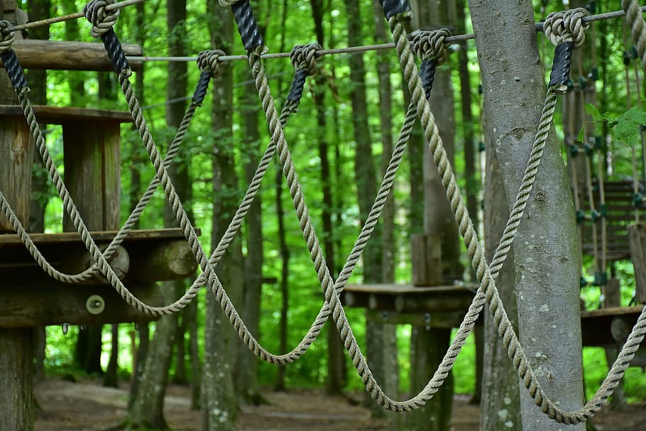 gray hanging rope obstacle, Climb, High Ropes Course, climbing garden, HD wallpaper