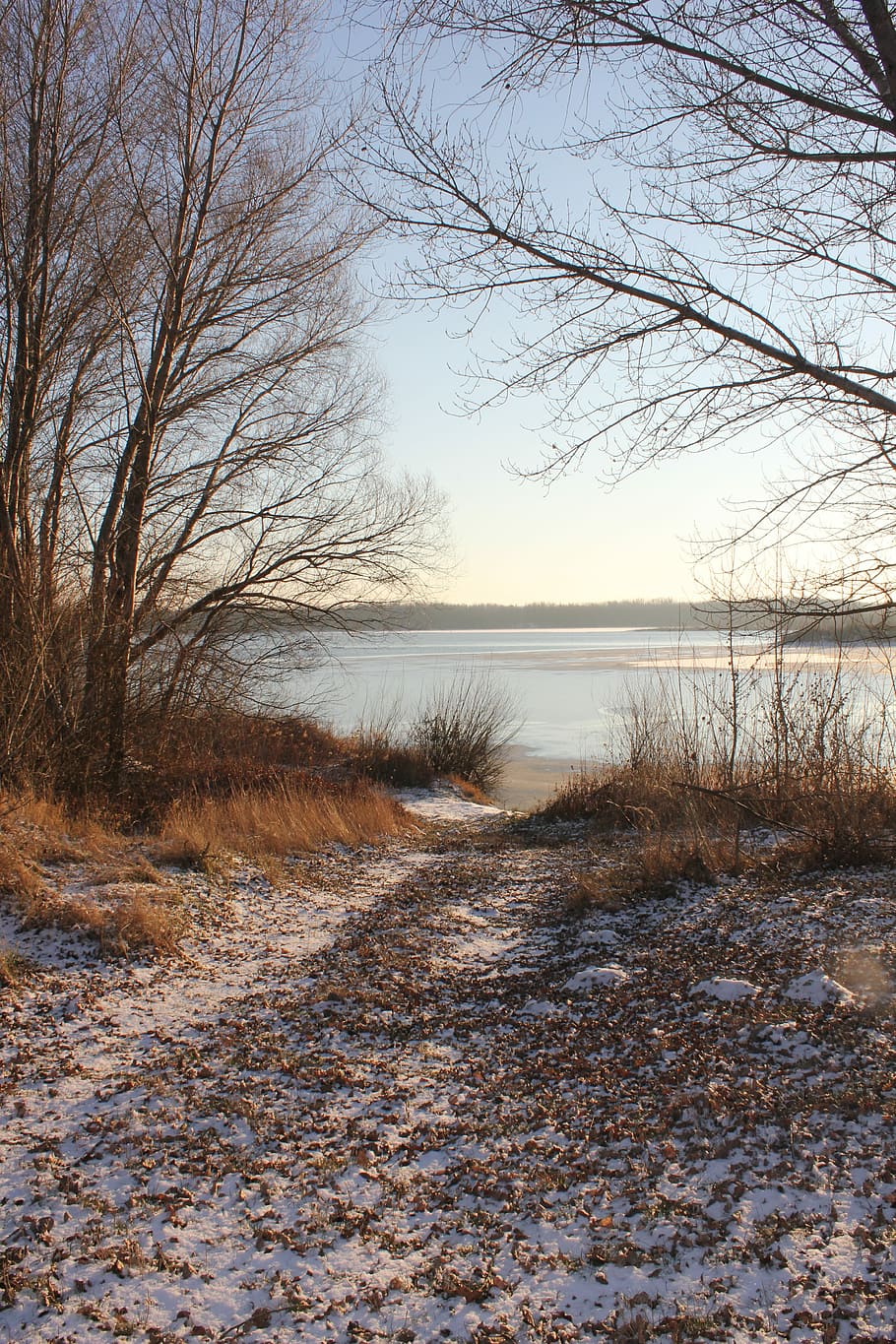 Winter, Snow, Path, Tracks, Print, nature, sun, frost, trees HD wallpaper