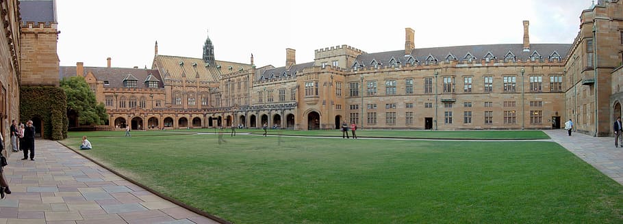 University of Sydney, New South Wales, Australia, campus, college, HD wallpaper