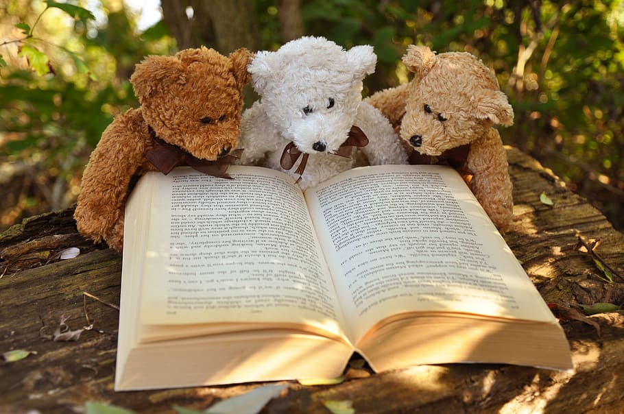 three brown and white bear plush toys with book on brown wooden table, HD wallpaper