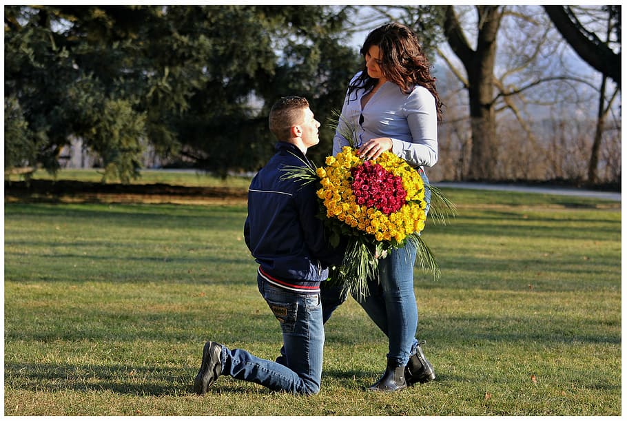 request for hand, couple, fan, park, bouquet, plant, flower HD wallpaper