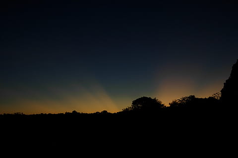 Sunset, Guyana, Nature, Sky, silhouette, dark, tranquil scene HD wallpaper
