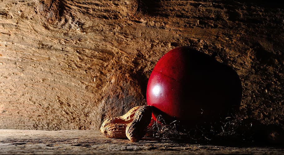 Apple, Christmas, Peanuts, Wood, deco, decoration, background HD wallpaper