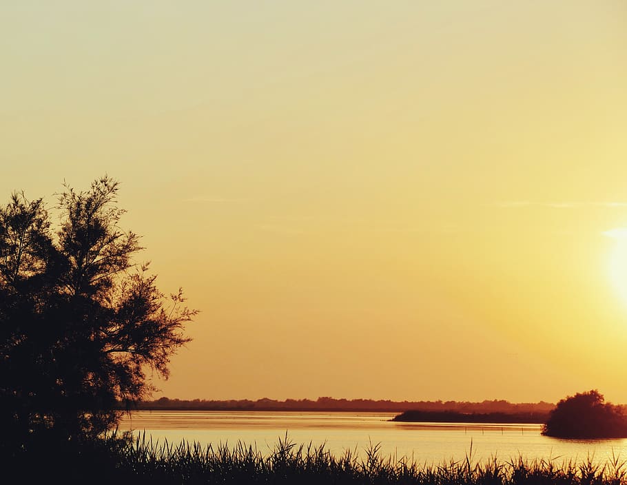 dawn, sunset, nature, tree, landscape, waters, sky, evening HD wallpaper