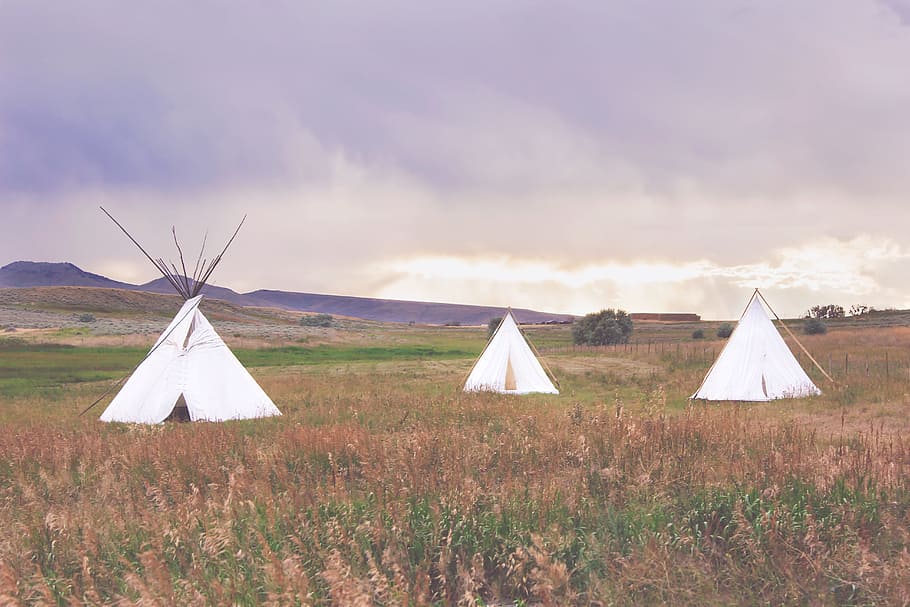 three white tipi tents, Teepee, Outdoors, Camping, Summer, indian HD wallpaper