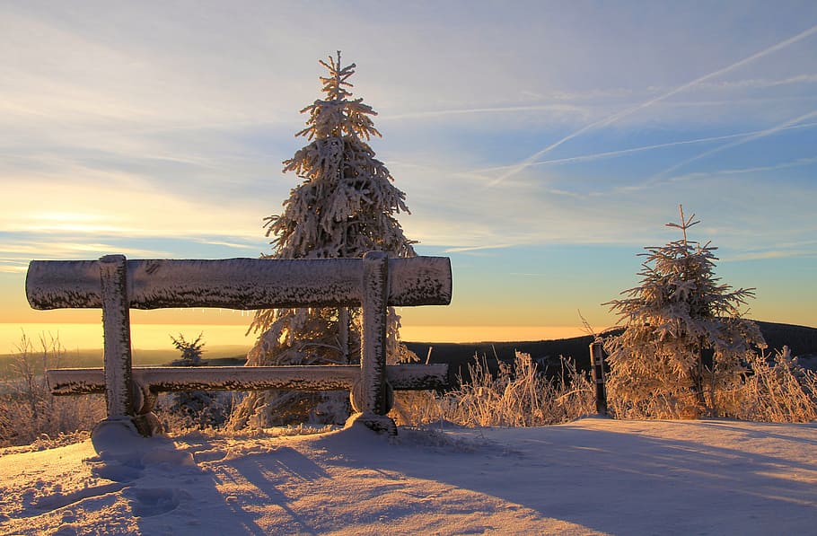 bench, clouds, cold, nature, snow, sunrise, sunset, winter HD wallpaper