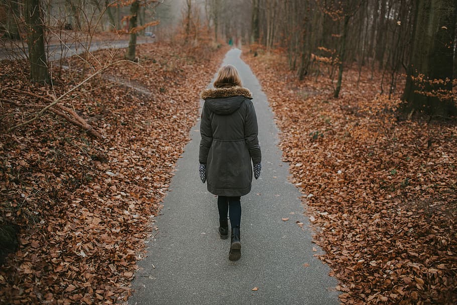 women walking on pathway surrounded by dried leaves, woman walking in the middle of sidewalk near withered trees HD wallpaper