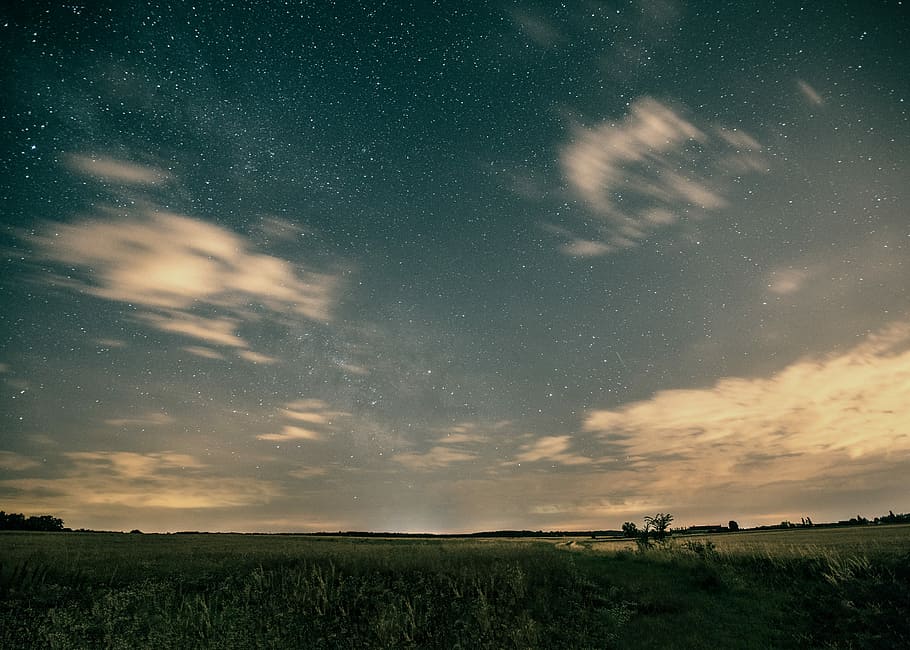 time-lapse photograph of grass field, starry skies, night, dark HD wallpaper