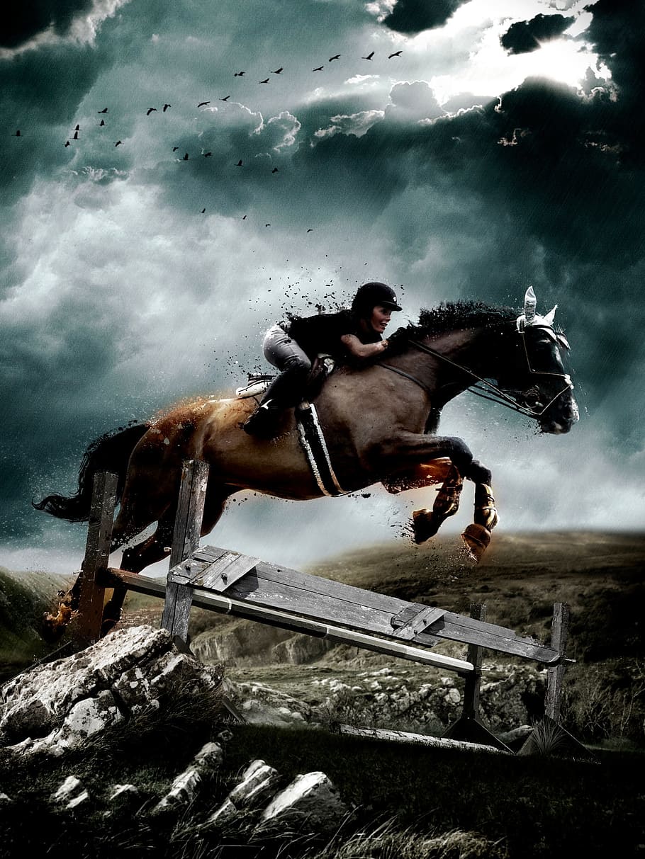 photography of woman ride-on brown horse jumping on rock, equestrian