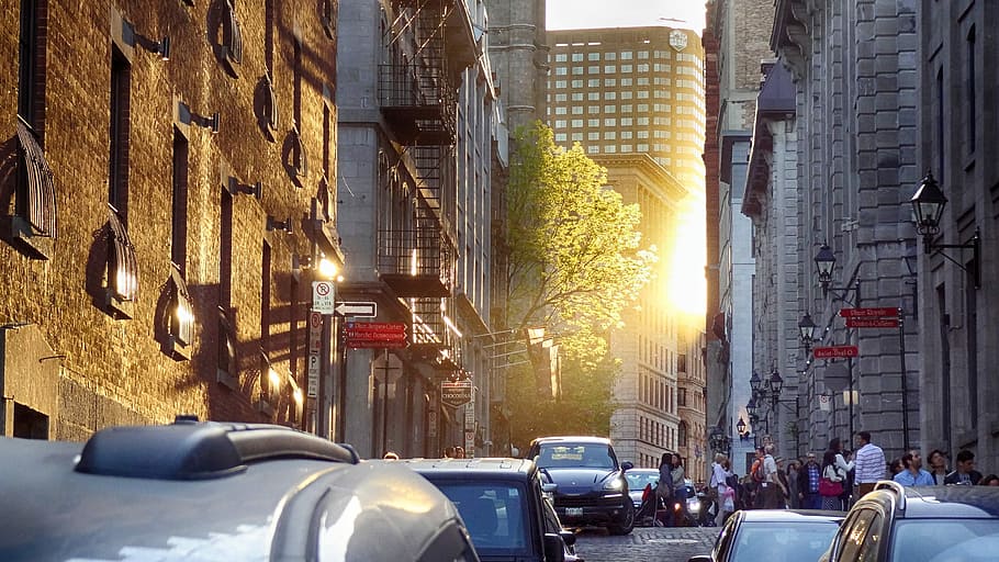 Evening, Sunset, Sunlight, Dusk, car, city, street, city life HD wallpaper