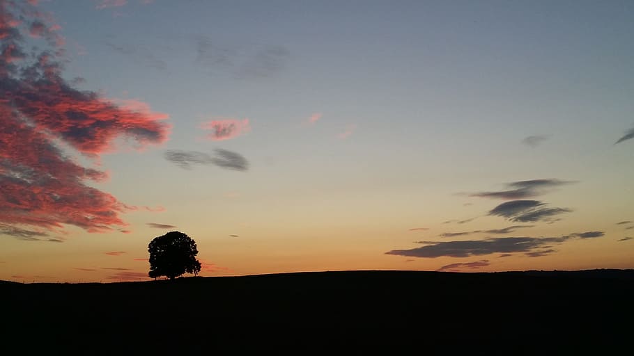 sunset, tree, abendstimmung, landscape, evening sky, silhouette HD wallpaper