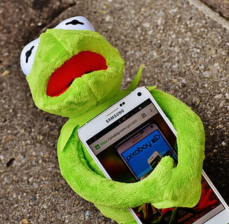 HD wallpaper: Kermitt the frog plush toy hugging Samsung Android smartphone  | Wallpaper Flare