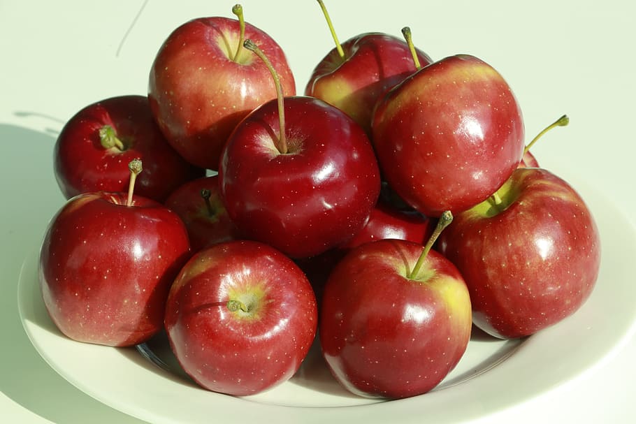 Apple, Fruit, apple and, food, red, freshness, food And Drink HD wallpaper