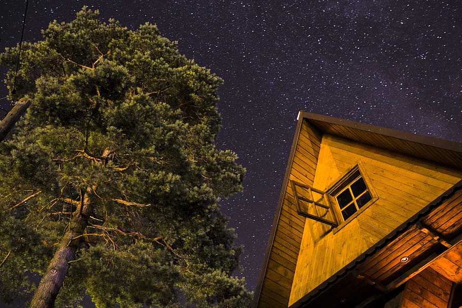 no one, tree, night, celebrities, house in the mountains, cottage HD wallpaper