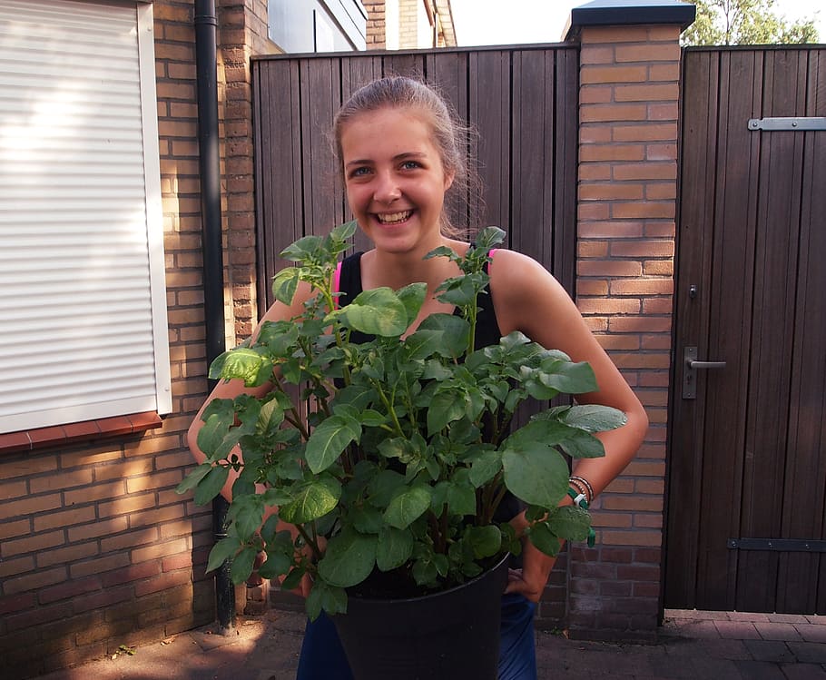 Girl, Gardening, Potato, Summer, Garden, smiling, outdoors, HD wallpaper