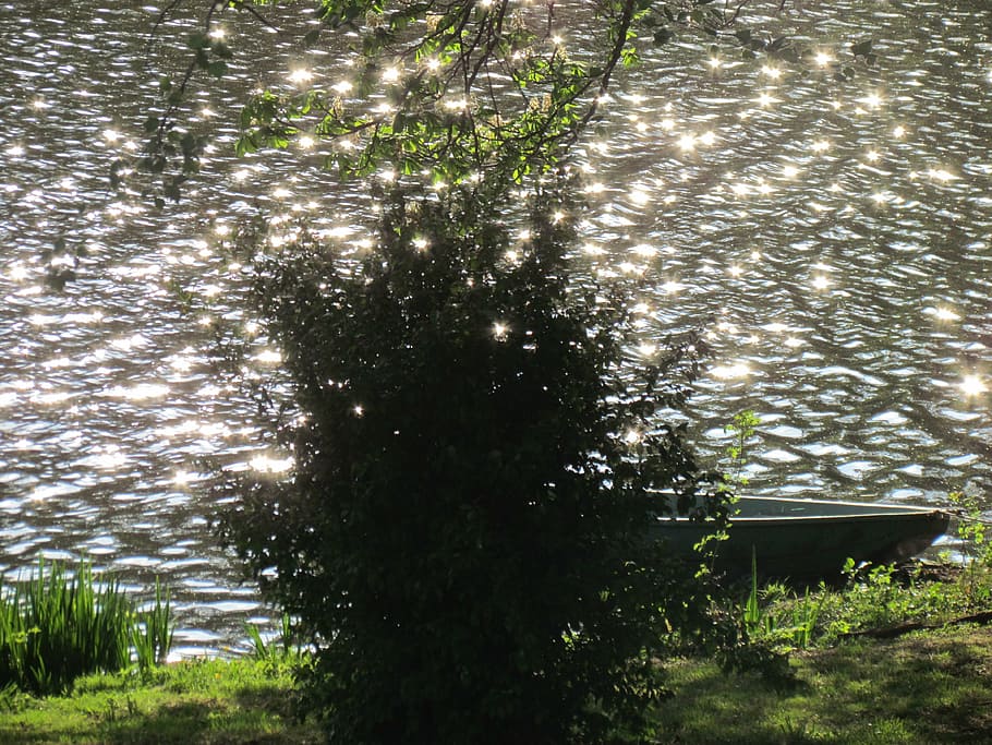 water, sparkle, lake, plant, nature, no people, sunlight, high angle view HD wallpaper