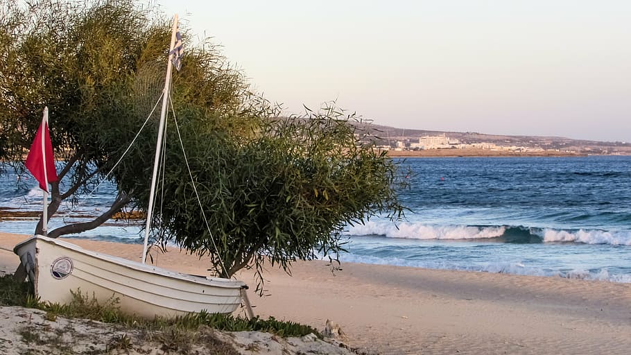 beach, empty, boat, autumn, end of season, sand, tree, landscape HD wallpaper