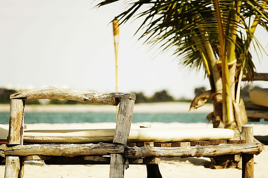 brown beach beside seashore, brown wooden table, fence, tree HD wallpaper