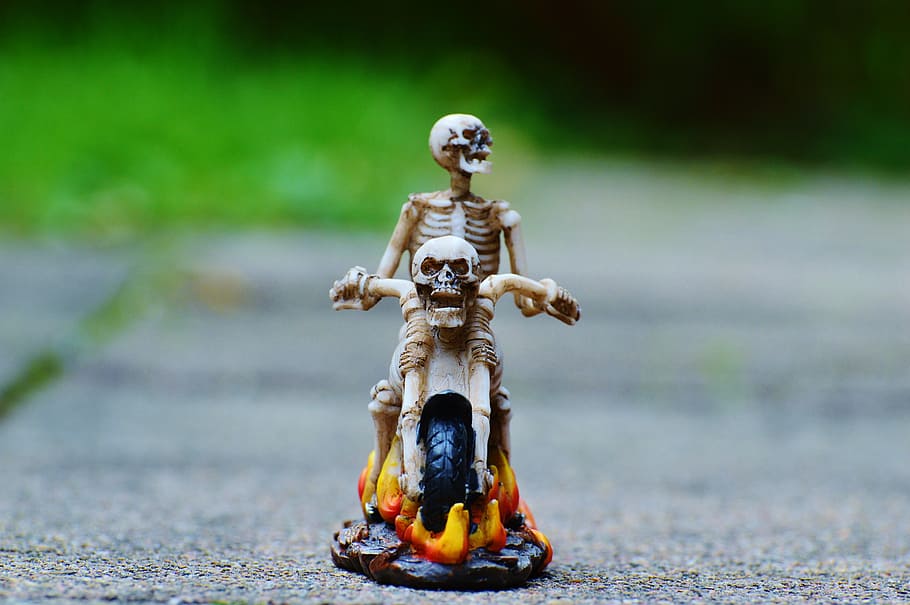 biker, skeleton, creepy, weird, decoration, scary, bone, horror HD wallpaper